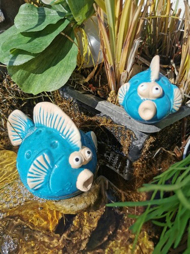 Kleine kugelfische figuren - kleine, kugelfische,