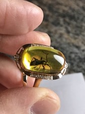 Damen Herren Ring gold 750 Diamanten echt Bernstein mit Gr.Ameise UVP 8000€ Neu