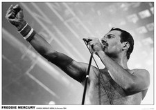 Queen Poster  Freddie Mercury