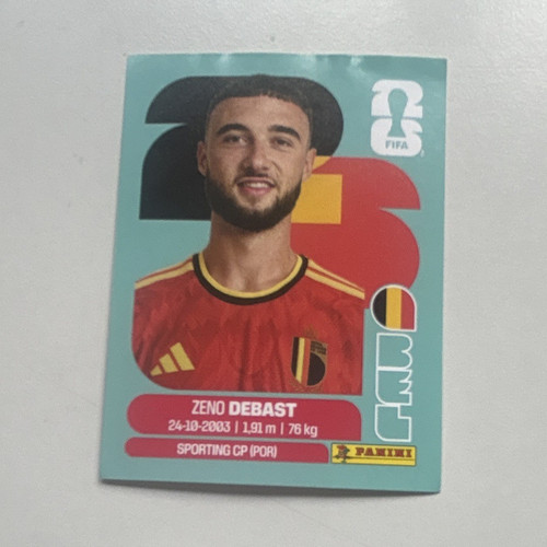 Panini fifa world cup - fifa,