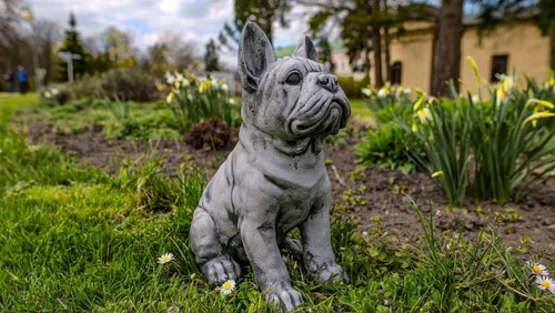 Steinfigur frenchie - steinfigur,