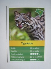 Entdecke Brasilien -