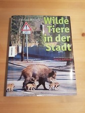 Wilde Tiere in der Stadt