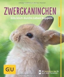 Zwergkaninchen glücklich - zwergkaninchen:,