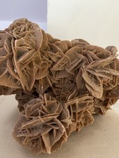 Sandrose Wüstenrose aus Tunesien