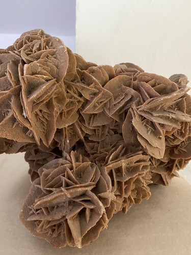 Sandrose wüstenrose aus - wüstenrose,