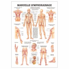 Manuelle lymphdrainage - manuelle,