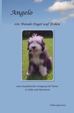 Angelo: ein Hunde-Engel auf
