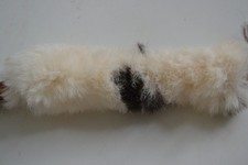 Halsband Welpe Chihuahua Katze