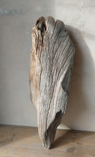 57 cm Treibholz Skulptur