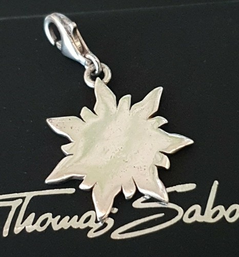 Thomas sabo sonne charm - thomas, 🌞