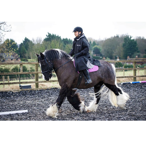 Equicoat reincoat lite - reincoat,