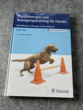 Physiotherapie und