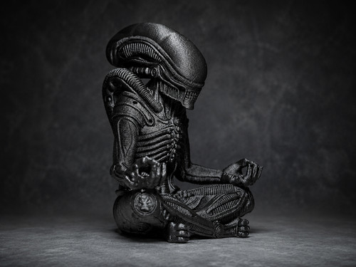 Zen xenomorph statue - -, alien