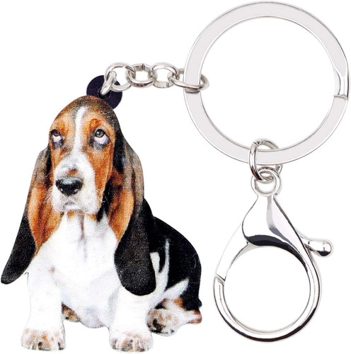 Acryl basset hound hund - acryl,