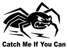 Spinne catch me if you - -catch,