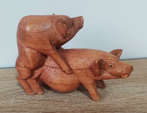 Schwein sau ferkel - schwein,, sau,