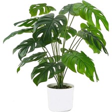 Künstliche Monstera Pflanze