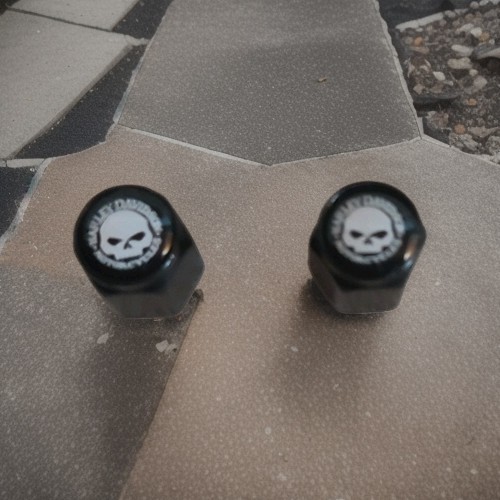Harley davidson willie skull - harley-davidson,