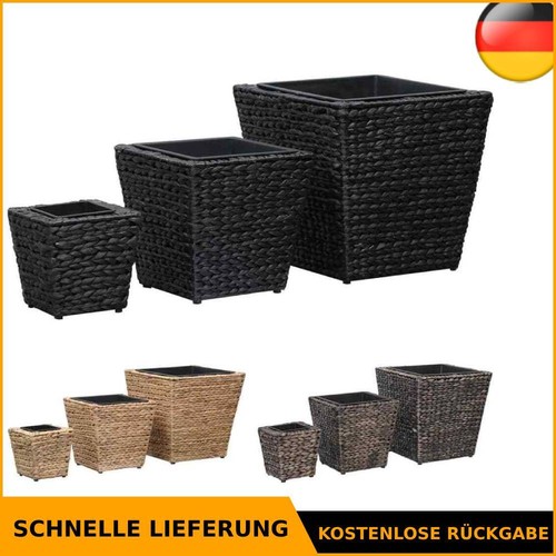 Hochbeet 3tlg wasserhyazinthe - hochbeet,