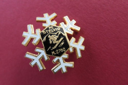 Sport ski stelvio - ski,
