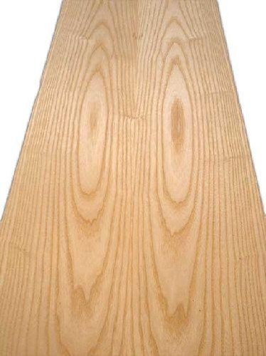 Esche furnier holz eschenholz - esche,