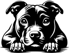 STAFFORDSHIRE BULLTERRIER