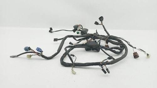 Kabelbaum suzuki gsf - kabelbaum,