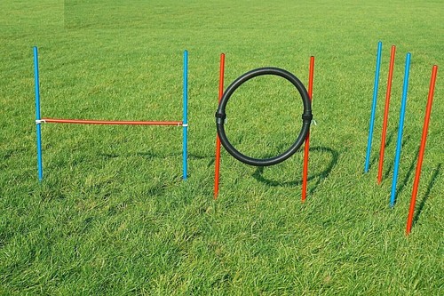 Agility übungs set blau - agility-Übungs-set, /