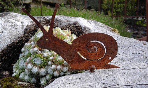 Schnecke mit schraube - schnecke,