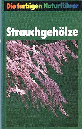 Strauchgehölze die farbigen - strauchgehölze,