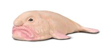  Collecta 80037 Blobfisch 6 cm