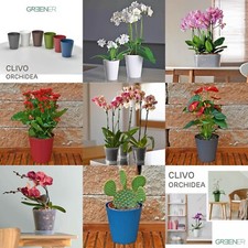 Orchideentopf Blumentopf 5