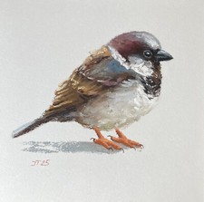 Vogel Spatz Original Pastell Malerei, Sperling Gemälde, 20x20 cm