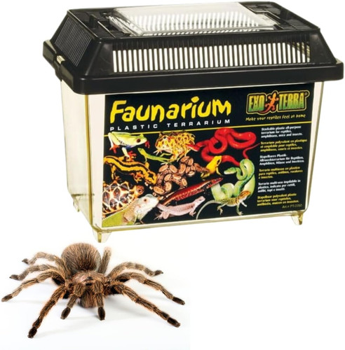 Exo terra faunarium small - terra,