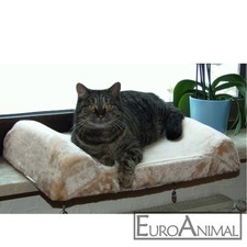 Katzen Fensterliegebrett