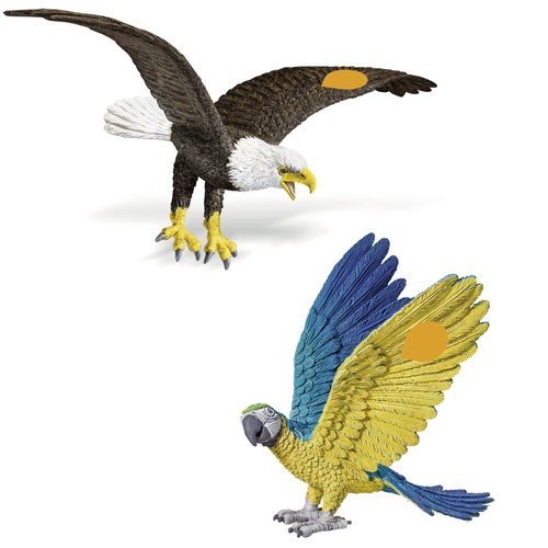 Weißkopfseeadler und