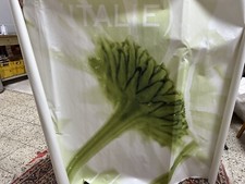 Wallprint Frühling Blume Weiß   Bild WANDBILD selbstklebende Vinyl Folie 250x125