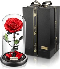 Konservierte Rose im Glas -