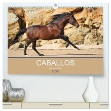Caballos Spanische Pferde 2026