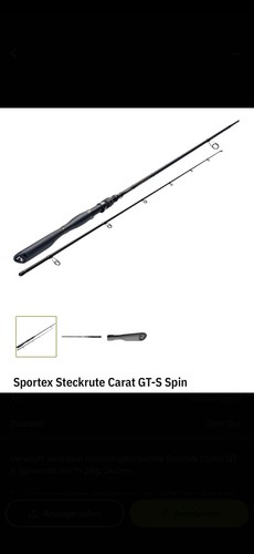 Angelrute sportex spinnrute - angelrute,