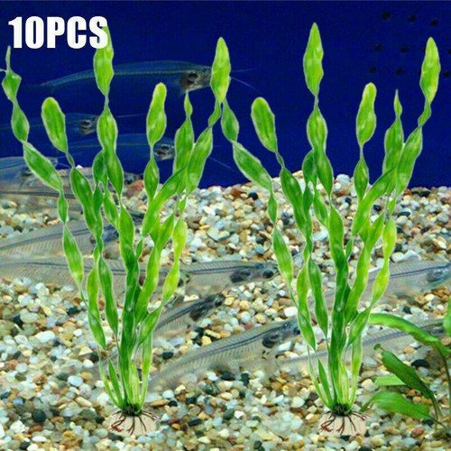 10x aquariumpflanzen - 10x,