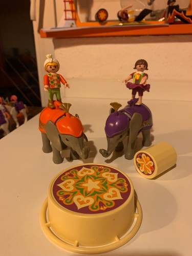 Playmobil 4235