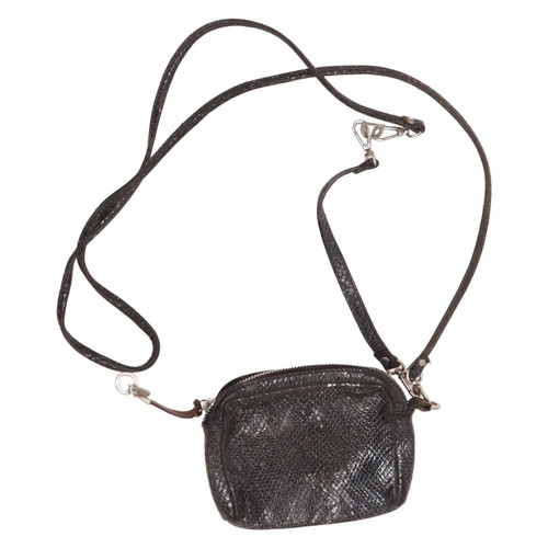 Gianni chiarini - gianni,