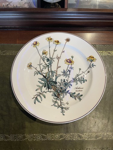 Villeroy boch botanica - villeroy,