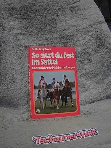 Sitzt fest sattel - fest, im