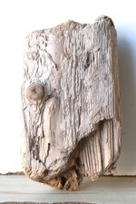 Treibholz Schwemmholz