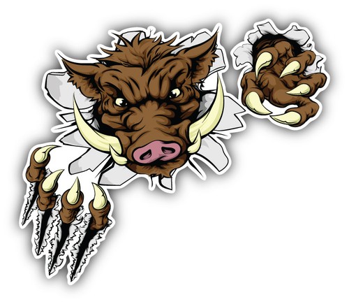 Autoaufkleber wildschwein - autoaufkleber,