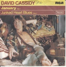 David Cassidy – January ++ used ++