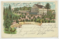 AK Chemnitz Gruss aus Borna